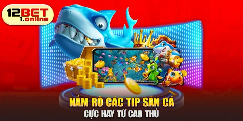 Nắm rõ các tip săn cá cực hay từ cao thủ