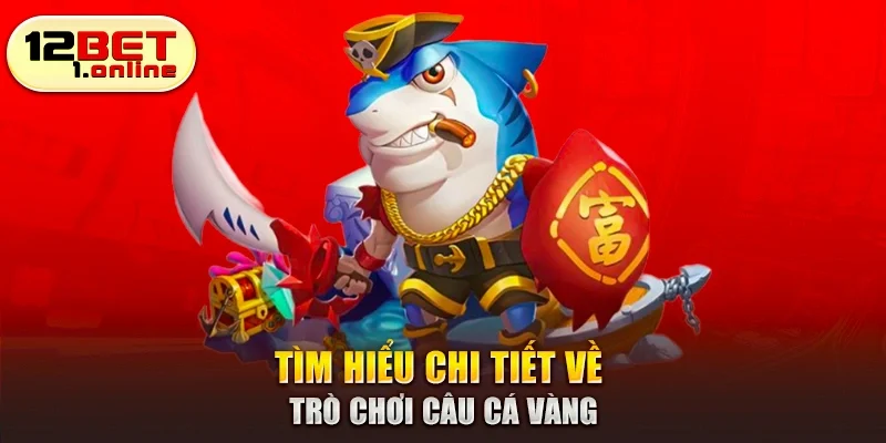 Tìm hiểu chi tiết về trò chơi câu cá vàng